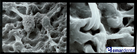 Centro de implantes dentales